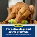 PetSafe Busy Buddy Cravin' Corn - Adjustable Slow Feeder Toy with Refillable Treat Rings - Cleans Teeth & Gums, Cures Boredom & Slows Down Eating Habits - Medium/Large - for Dogs 50+ lb - Image 7