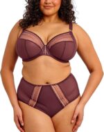 Elomi Women's Plus Size Matilda Full Coverage Brief (EL8906) - Image 5