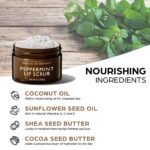 Brooklyn Botany Lip Scrub Exfoliator 1 oz – Lip Moisturizer for Dry Lips and Chapped Lips – Gentle Lip Exfoliator for Smooth and Brighter Lips – Peppermint Flavor - Image 7